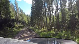 2020 Recon Fam Cervin - tree and winch