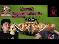 Live with impossible inverts , #livestream