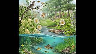 Tohumlar Fi̇dana Fi̇danlar Ağaça