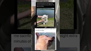 Happy doggy #meme #memes #fyp #fyl #fypviralシ #fypシ゚ #foryoupage #foryou #funny #memesdaily