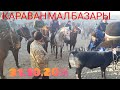 31.10.20ж Караван Мал Базары Аттар,Кулун Кунандар сатылды