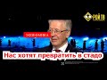 Валентин Катасонов: нас хотят превратить в стадо