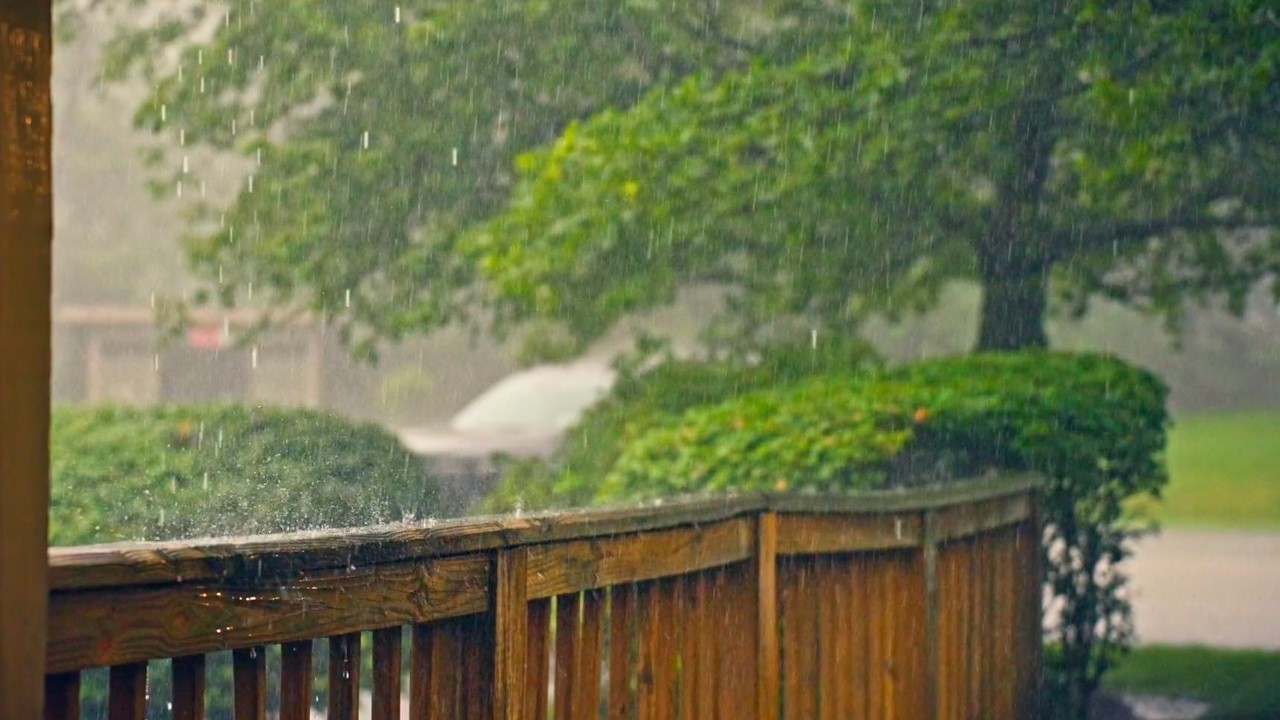 1 Hour Relaxing Rain Sounds 🌧️ | Calm Rain for Sleep, Relaxation & Stress Relief