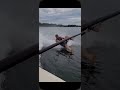 Learning to barefoot waterski be like.. #waterskiing #waterskiing #boating #watersports