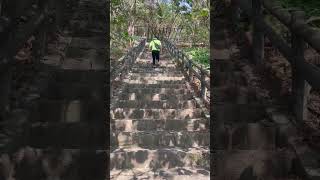 427892431 7369819663109498 1076504004529519671 n