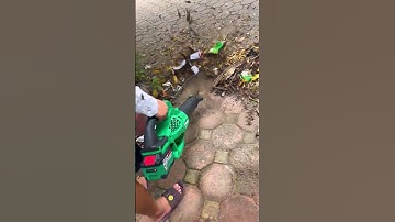 Máy thổi lá Workfix. Tiện lợi công suất lớn sử dụng làm vườn, thổi bui công trường