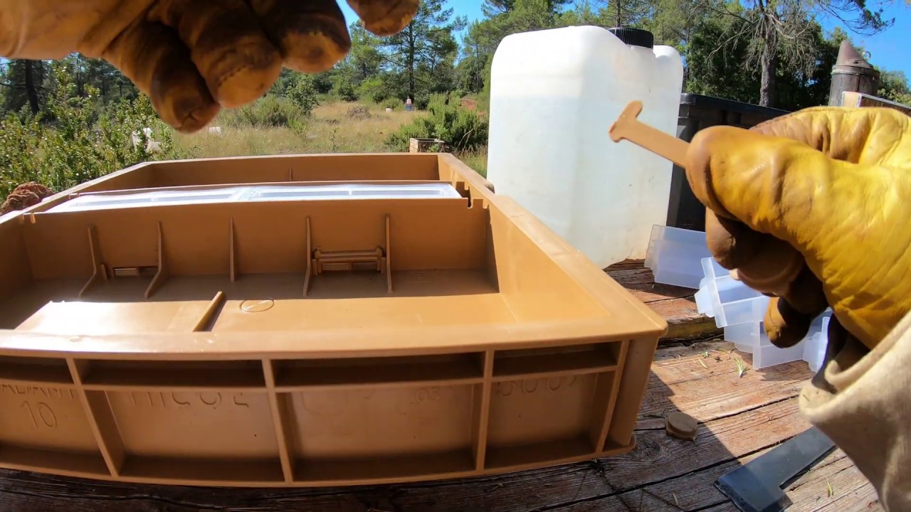 Montage nourrisseur nicot mode bourrin