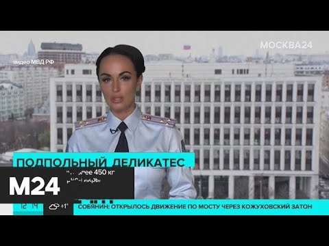 В Москве пресекли незаконную торговлю черной икрой - Москва 24