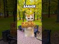 ТГ в профиле там футажи #shortsyoutube #shortsyoutube #shortsyoutube #shortsyoutube #shortsyoutube