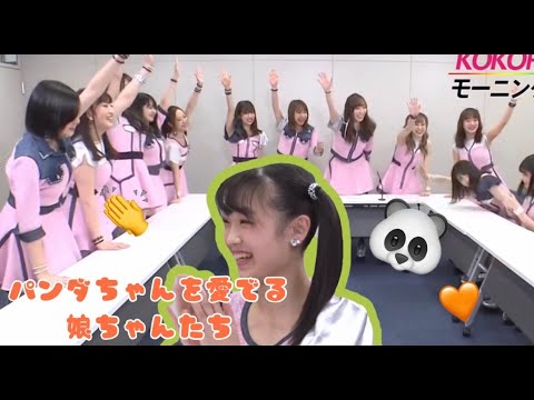 パンダちゃんを愛でる娘ちゃんたち
