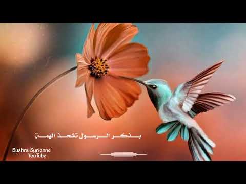 حالات واتس اب عن رسول الله صلى الله عليه وسلم أناشيد عن الرسول أناشيد إسلامية جديدة 2021 