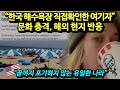 "한국 해수욕장 직접확인한 여기자" 문화 충격, 해외 현지반응