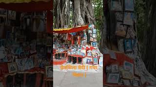 Pretshila Vedi A Bihar Pinddaan A Bihar Shorts Mohit Prabhakar Vlogs