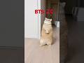 #2.0#ARIRANG#BTS