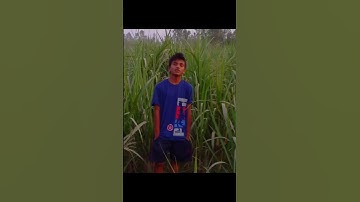 Transformation of an IITian 🔥|| Daily Mini Vlog || Vlogging || #iitjee#iitbombay#iitadvanced