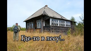 ЗАБРОШЕННЫЕ ПОСЁЛКИ В ЛЕСУ. Петрикеевка и Симушка