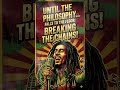 Until the philosophy falls🛑 Heavy 70s roots reggae to break the chains of illusion!👊🔥#reggae#music