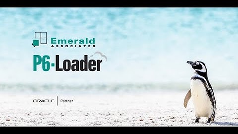 2024-02-06 - P6-Loader Webinar - Automate Primavera P6 Data Loading and Updating