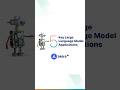 Large Language Model Applications