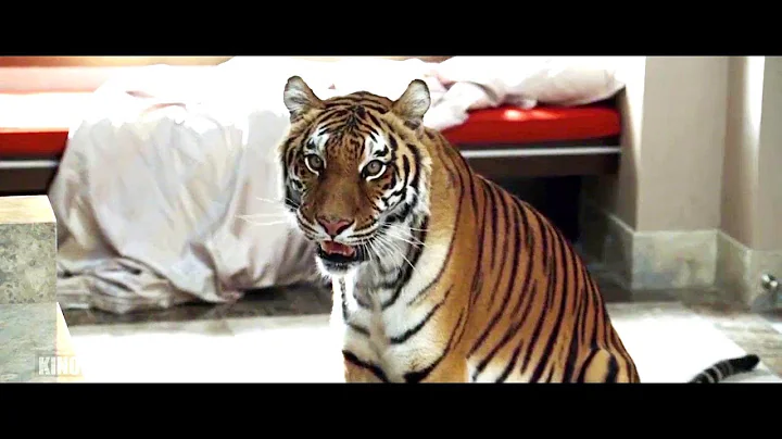 The Hangover (2009) - Wake Up Scene