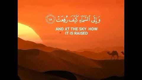 القران الكريم 223