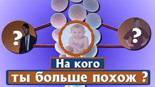 НА КОГО ТЫ БОЛЬШЕ ПОХОЖ (полное видео) НА КОГО ТЫ БОЛЬШЕ ПОХОЖ (полное видео)