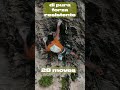 Sant’Anger 8c+/9a