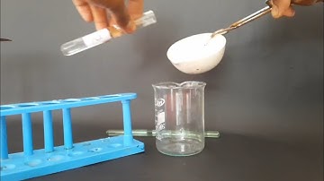 10th Science, Activity 2.7