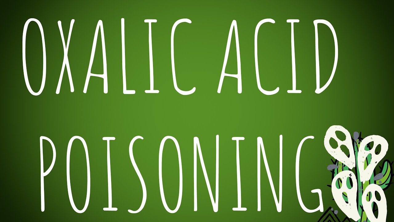 Toxicology Oxalic Acid Poisoning MADE EASY! YouTube