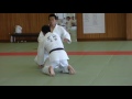 Kime no kata  kodokan summer course 2016