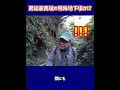 【戦争遺跡】謎穴発見！！～房総最南端のアレか？ #Shorts