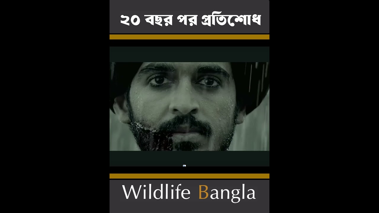 ২০ বছর পর প্রতিশোধ নিলো ছেলেটি #wildlife bangla