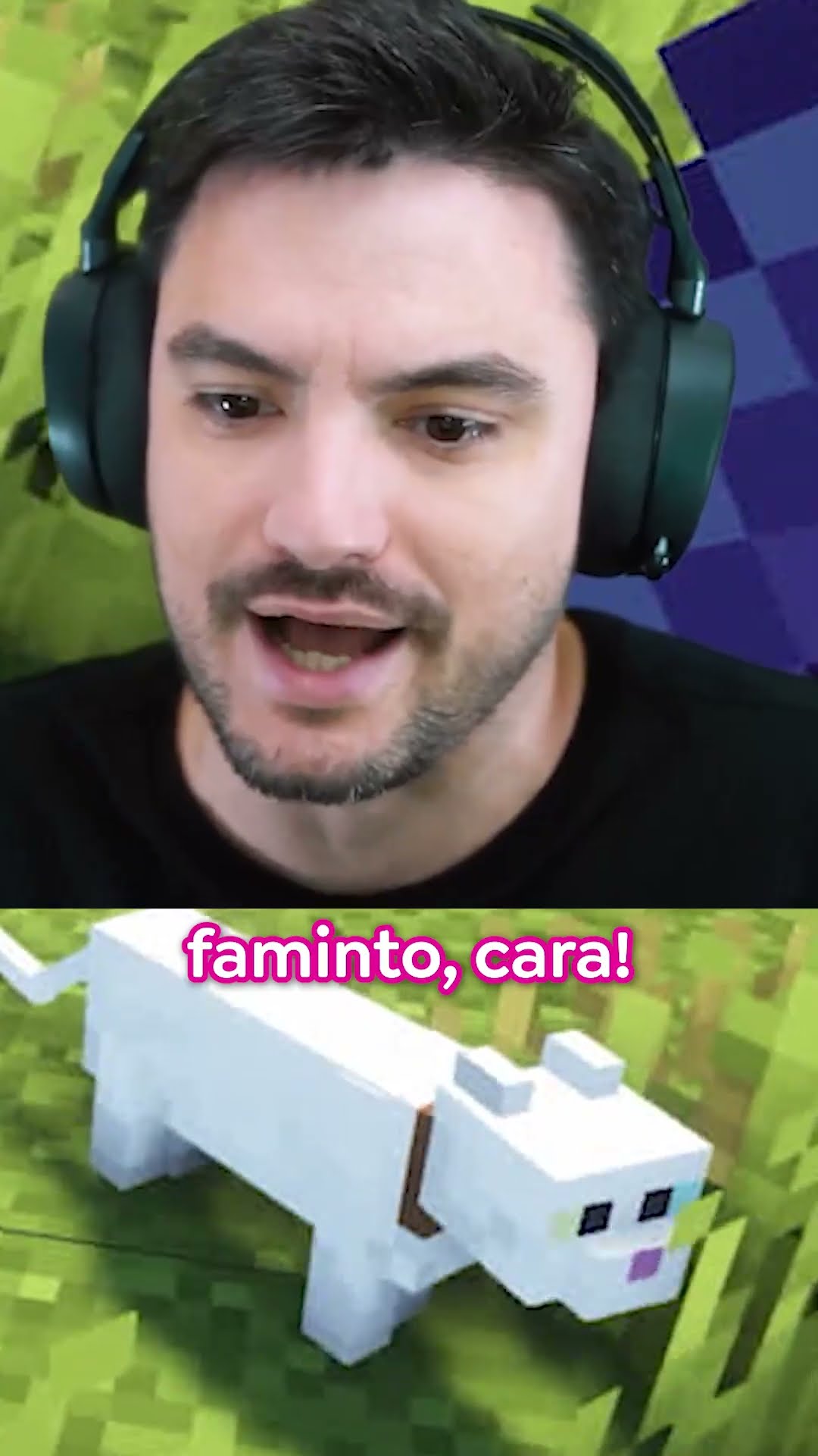 NASCEU O NOSSO BEBÊ DRAGÃO NO MINECRAFT