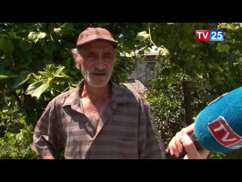 შეასრულა თუ არა ზენითის მაჟორიტარმა გაცემული დაპირებები?