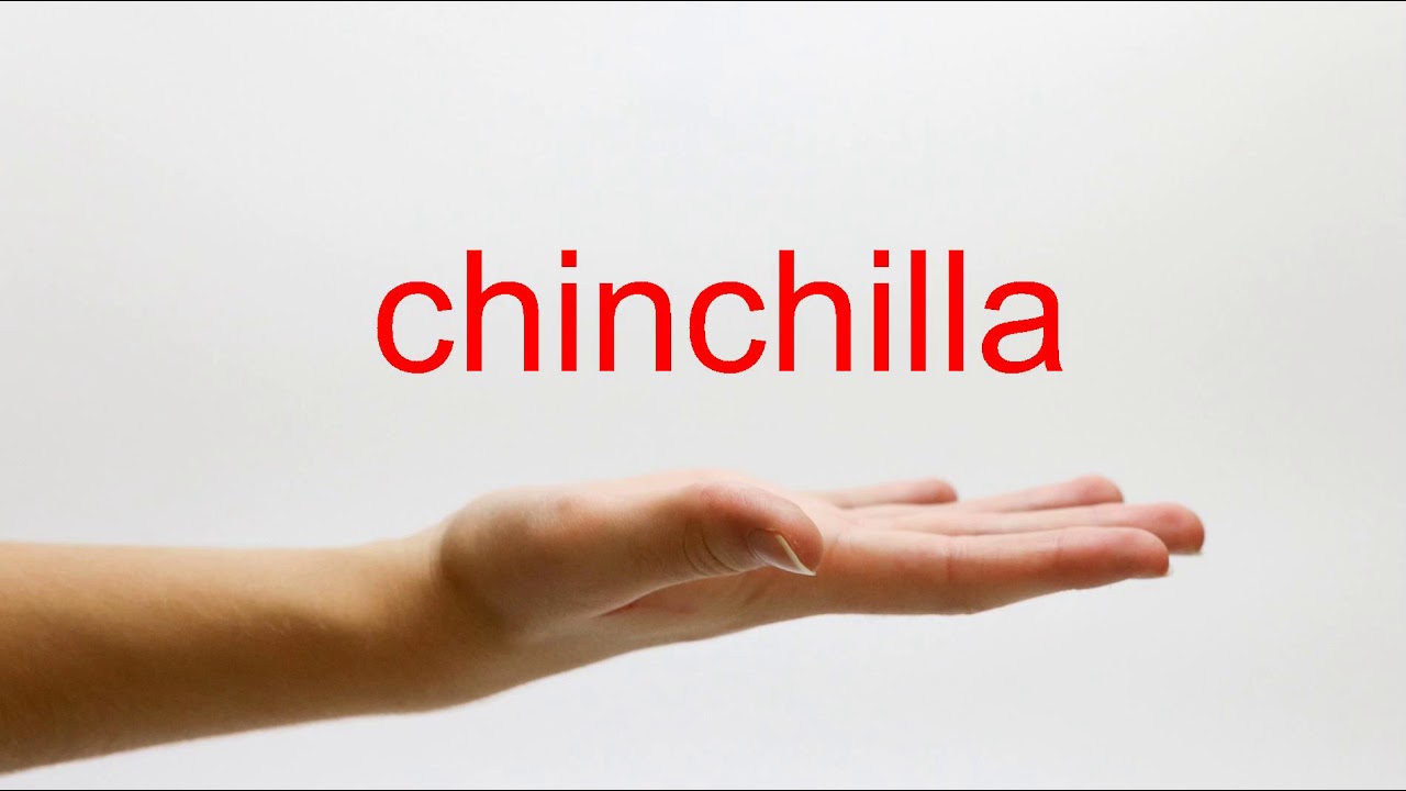 How To Pronounce Chinchilla - American English