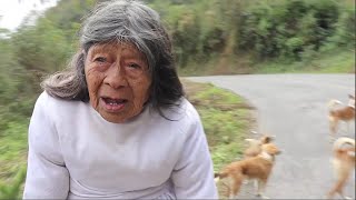 me encontre a doña juanita de las montañas en la carretera buscando comida para sus perros