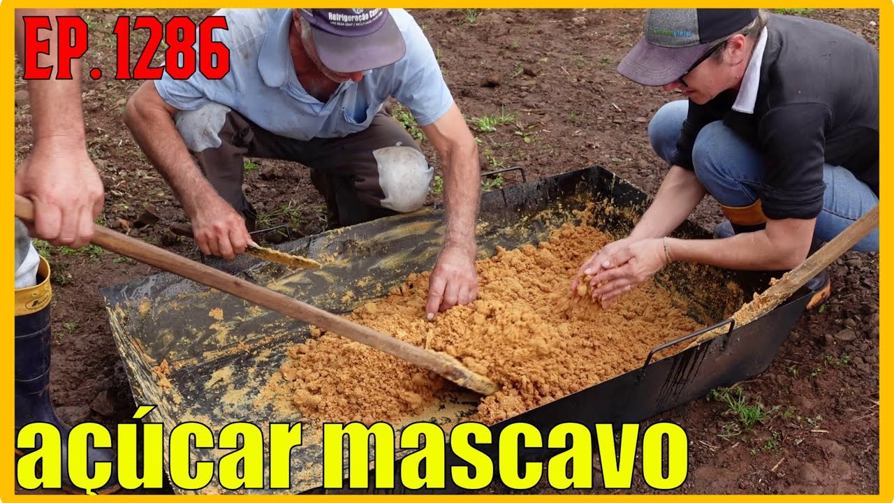 como fazer açúcar mascavo, melado e rapadura com amendoim