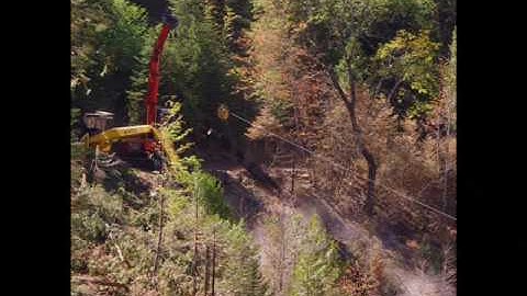 Logging till the end