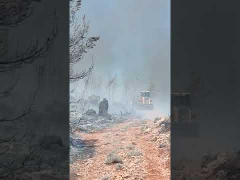 Οριοθετήθηκε πλήρως η φωτιά στο δάσος της Κέρης