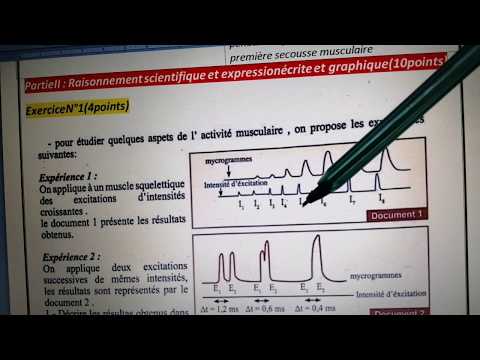 Vidéo: Effets De L'extrait De Thé Vert Converti En Tannase Sur Le Développement Des Muscles Squelettiques