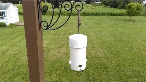 Make DIY Type 1 Cheap & Easy Small Birds Feeder Squirrel Big Grackle Crow Proof PVC Pipe & Wood Top