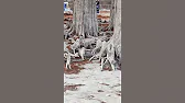 Маршрут выходного дня (pohod23ru)