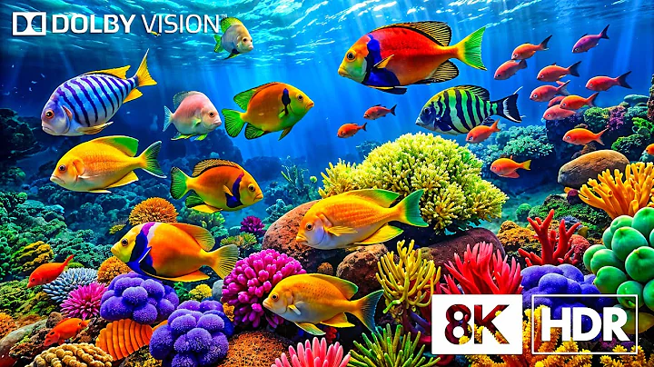 Hidden Life of the Deep Sea in 8K HDR | Dolby Vision™