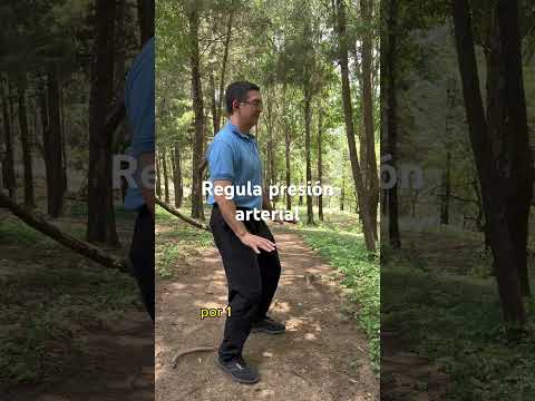 Video: Cómo practicar Qigong: 13 pasos (con imágenes)