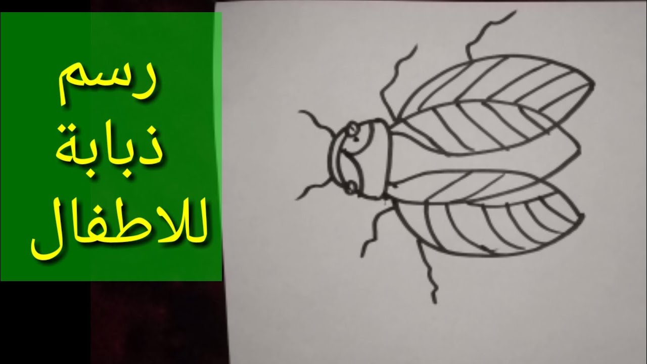 اتفاق عنف لمحة  كيفية رسم ذبابة سهلة للاطفال, draw kids - YouTube