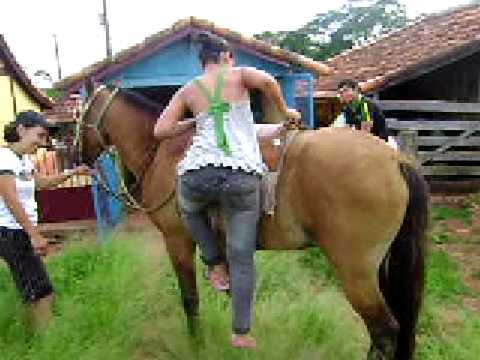 Fabiana e o cavalo - YouTube