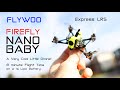 Flywoo Firefly Nano 1S Baby - This tiny drone will put a smile on your face - Review