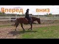 Движение лошади вперед-вниз.