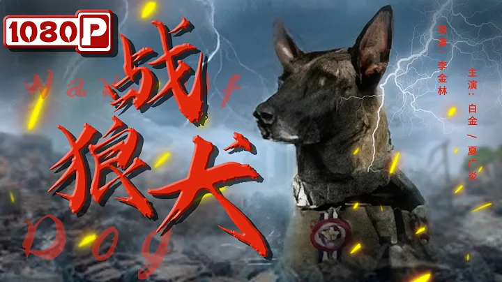 《#戰狼犬》/ Warwolf Dog 無良老闆欠債跑路丟下狗 好心女孩領養卻發現這隻狗不簡單（白金 / 夏廣炎） - 天天要聞