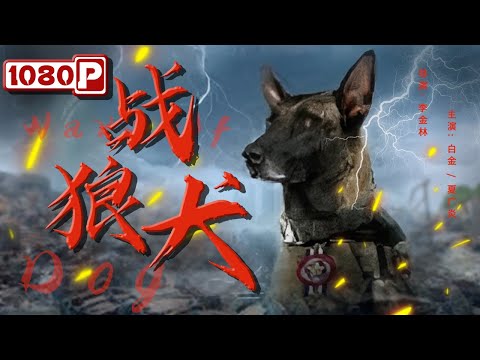 《#战狼犬》/ Warwolf Dog 无良老板欠债跑路丢下狗 好心女孩领养却发现这只狗不简单（白金 / 夏广炎）